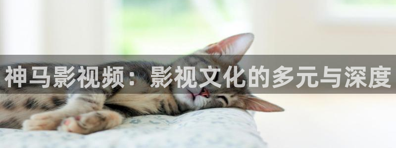 橘子视频免广告：神马影视频：影视文化的多元与深度
