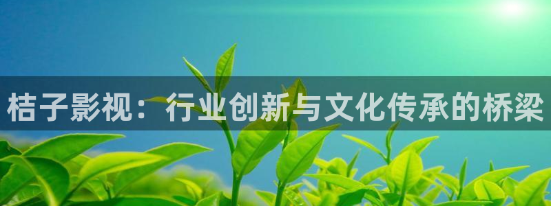 91橘子视频：桔子影视：行业创新与文化传承的桥梁