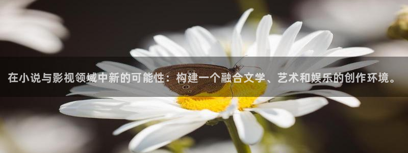 橘子小视频：在小说与影视领域中新的可能性：构建一个融合文学、艺术和娱乐的创作环境。