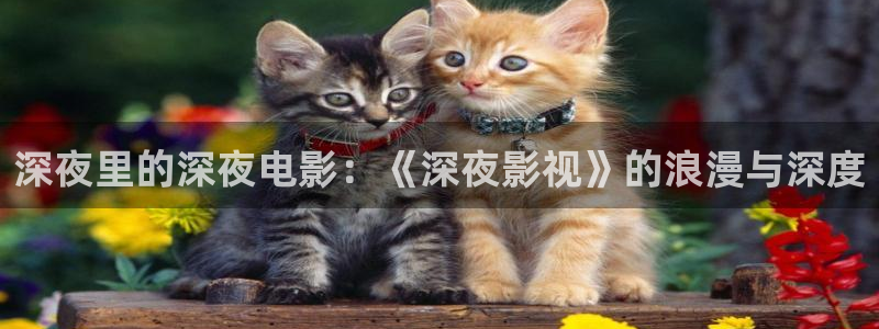 桔子橘子：深夜里的深夜电影：《深夜影视》的浪漫与深度