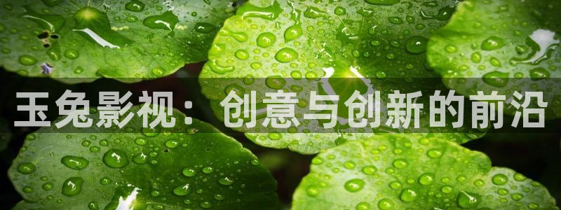 橘子的搞笑视频：玉兔影视：创意与创新的前沿