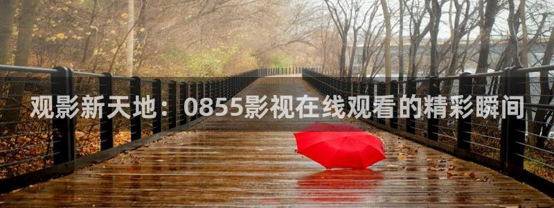 橘子视频在哪里下载：观影新天地：0855影视在线观看的精彩瞬间